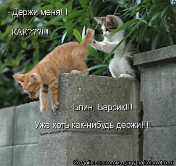 держись картинки