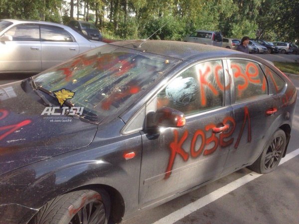the ford focus