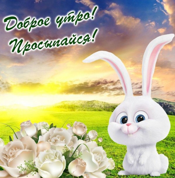 открытка с доброго утра