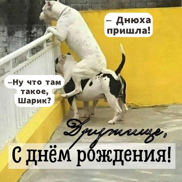 День босса женщине