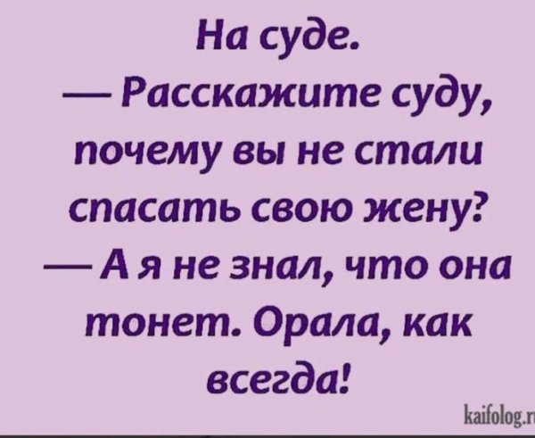шутки и мемы