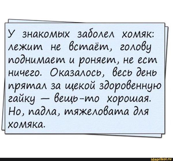 смешной текст