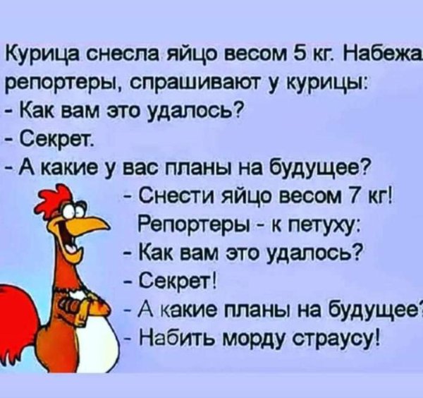 курица снесла яйцо