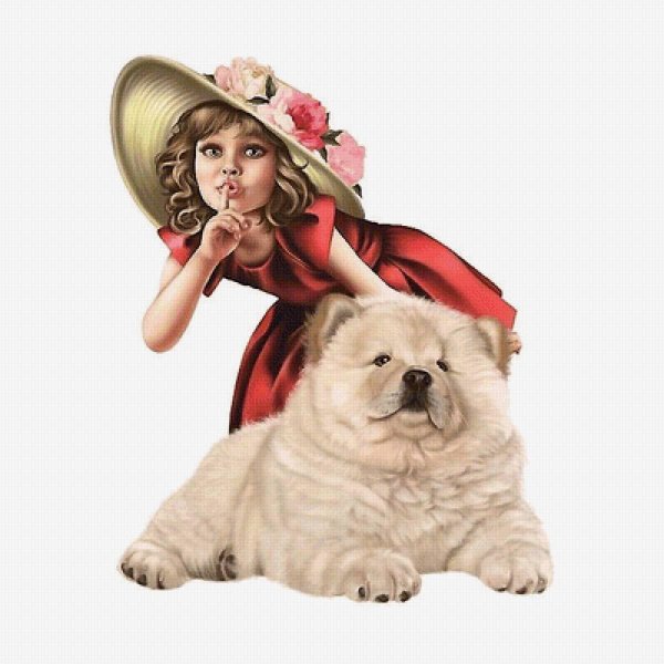 чау чау собака