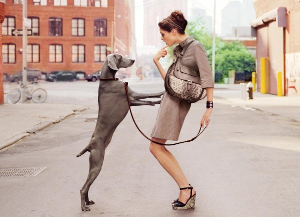 коко роша для longchamp