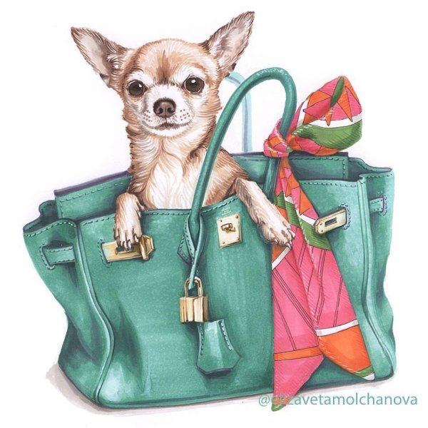 изображение собак на сумках