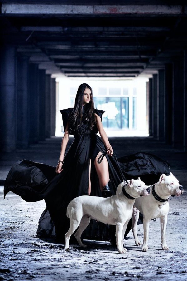 фотосессии с доберманом