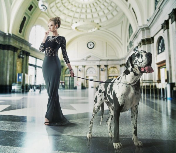 фотосессия с догом