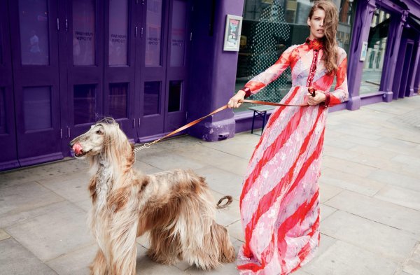 высокая мода