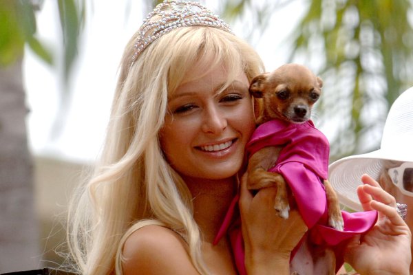 пэрис хилтон 2024