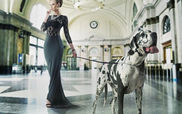 королевский мраморный дог