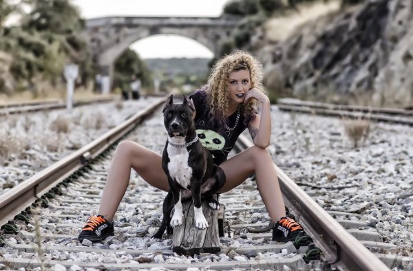 стаффордширский терьер черный