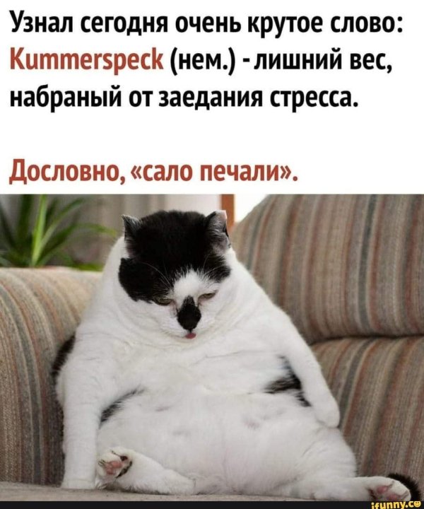 позитивные мемы