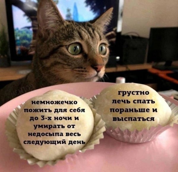 следующий день