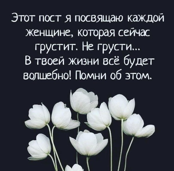 белые тюльпаны