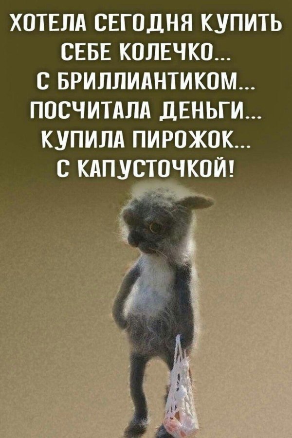 смешные мысли животных