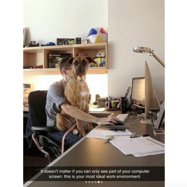 офисные приколы