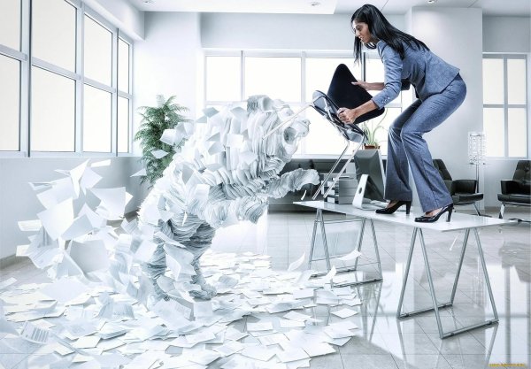 много бумаг