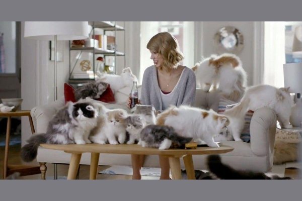 taylor swift cat meredith