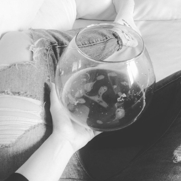 аквариум круглый