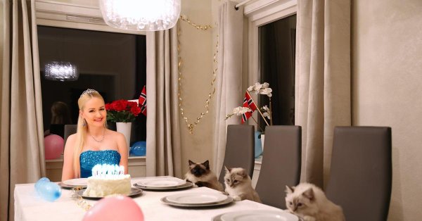 день рождение в одиночестве