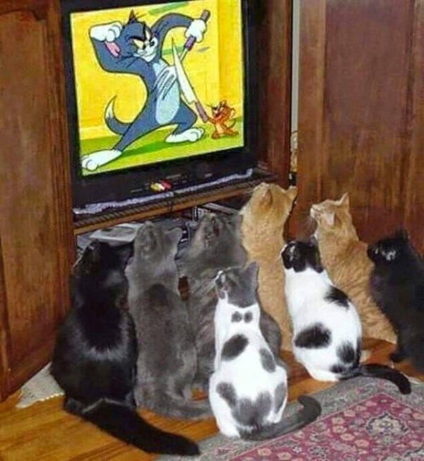 друзья юмор