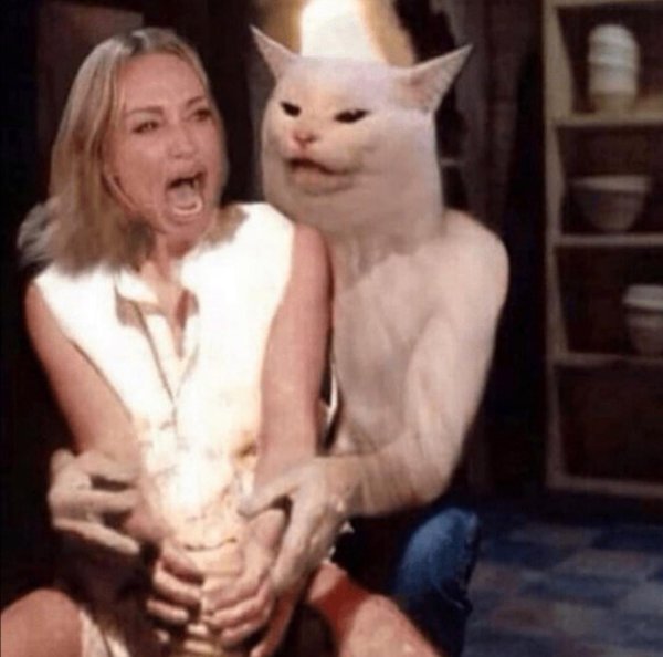 женщина орет на кота