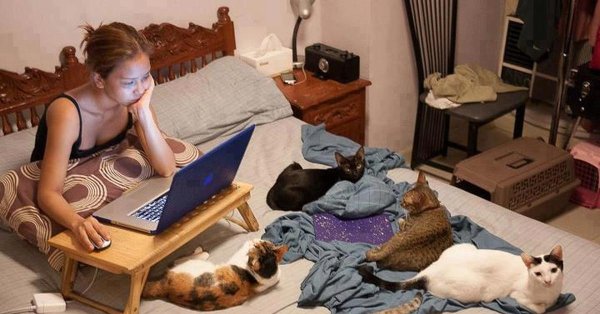 котики прикольная