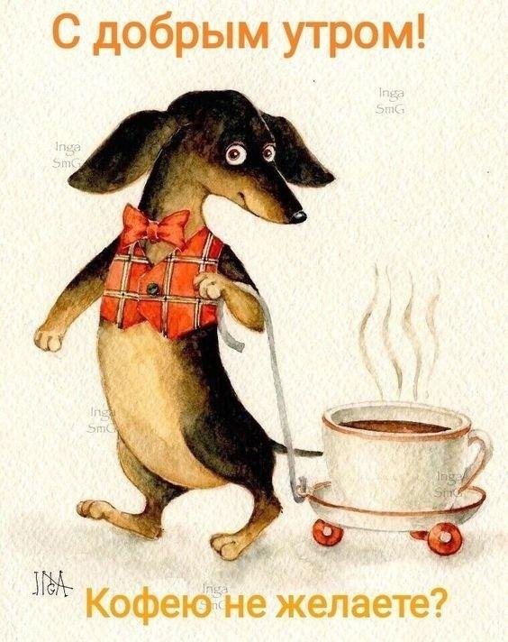 инга измайлова таксы