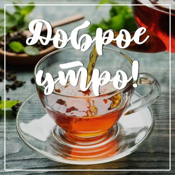 доброе утро вино