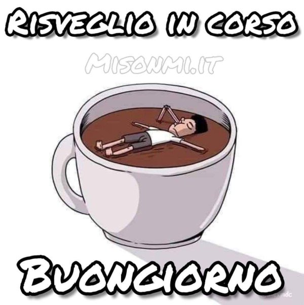 caffe buongiorno