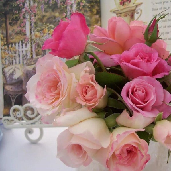 нежный цветок