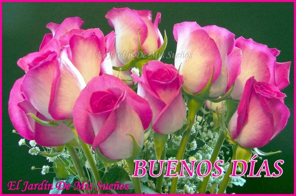 живые цветы открытки