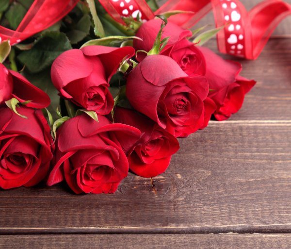 красная роза