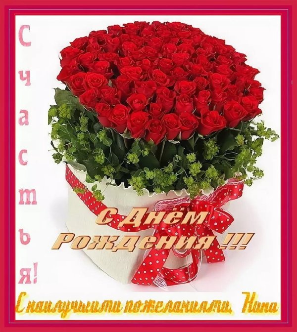 красивые розы с днем рождения