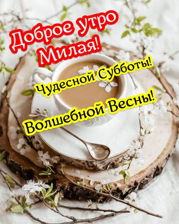 чудесной субботы