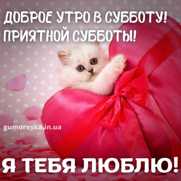 поздравляю с субботой