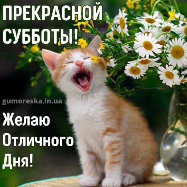 с добрым июльским днем