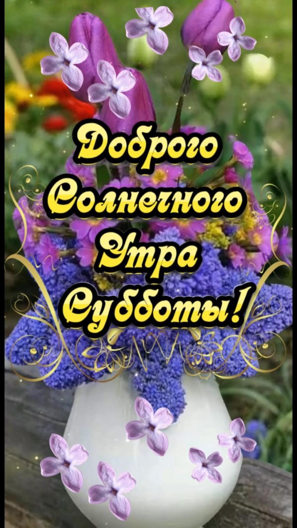 доброго субботнего утра