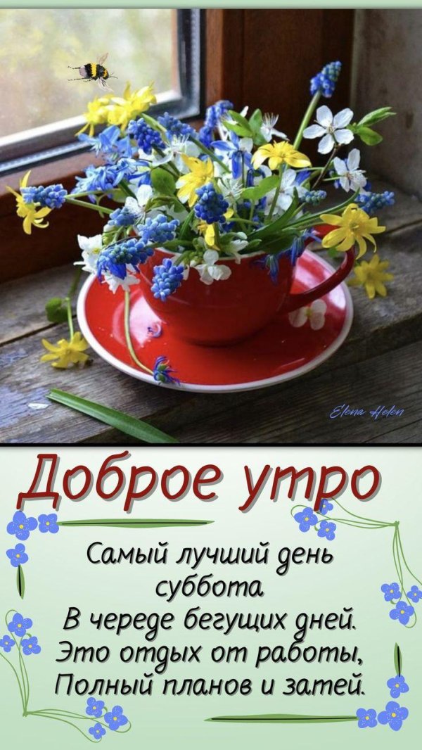 суббота доброго утра