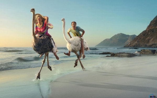 креативные картинки