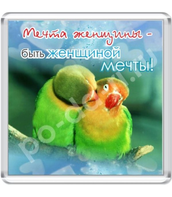 неразлучники попугаи