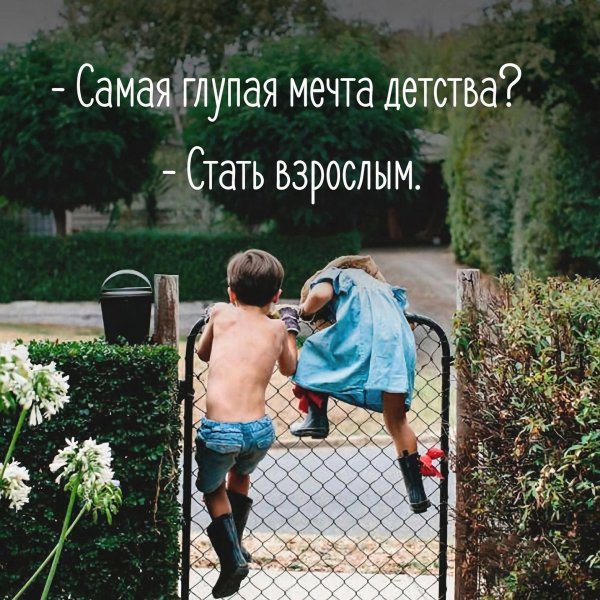 глупые мечты