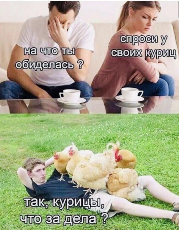 на чтотобиделась что за курица
