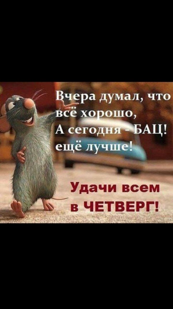 рататуй мультик