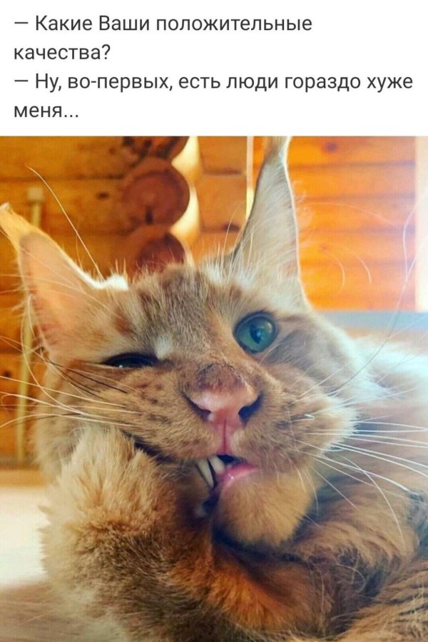 У меня все хорошо