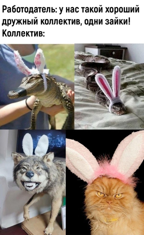 лучший коллектив