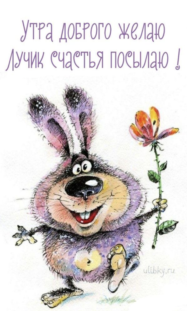 заяц забегаец