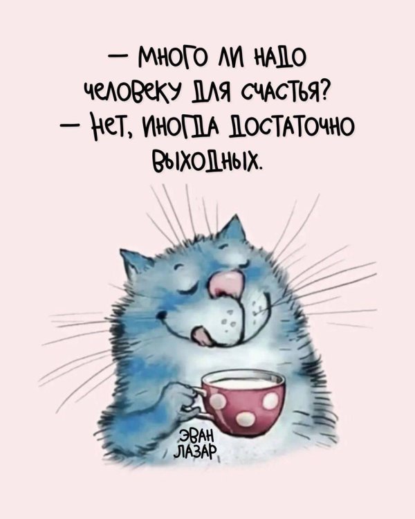 синие коты ирины зенюк стикеры