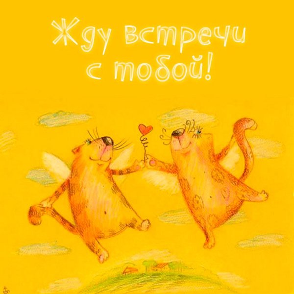 счастливая встреча